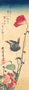 Bir Mavi Kuş ve Gelincikler, 1832-34., 1832-34. by Ando Hiroshige
