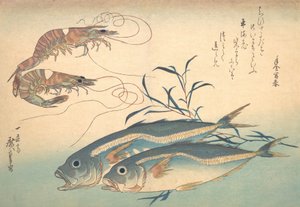 Aji Fish ve Kuruma-ebi, Uozukushi Every Variety of Fish serisinden, 1830