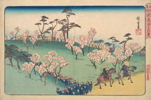 Asukayama kiraz çiçeği görüntüleme. by Ando Hiroshige
