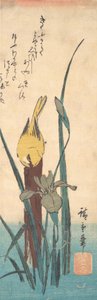 Kuş ve İris. by Ando Hiroshige
