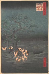 Oji