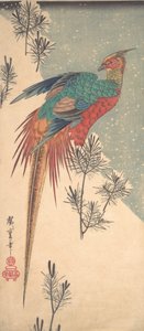 Karda Altın Sülün ve Çam Sürgünleri, ca. 1835., yaklaşık 1835. by Ando Hiroshige