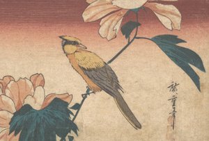 Hibiscus Mutabilis ve Jay, yak. 1840., yaklaşık 1840. by Ando Hiroshige