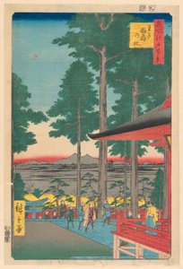 Oji