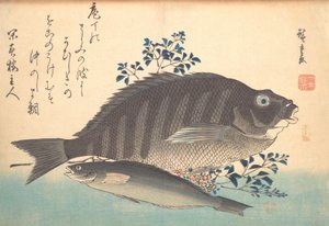 Shimadai ve Ainame Fish, Uozukshi Her Çeşit Balık serisinden, 1840
