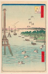 Edo