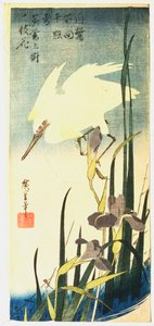 Beyaz Balıkçıl ve Süsen, 1833 by Ando Hiroshige