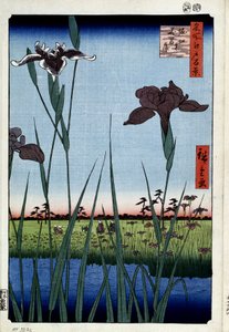 ""Yüz ünlü Edo manzarası"" : ""iris to Horikiri" (Horikiri