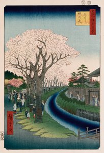"Kiraz Çiçekleri, Tama Nehri Dolgusu" by Ando or Utagawa Hiroshige