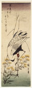 Yabani Hardallı Turna (renkli tahta baskı) by Ando or Utagawa Hiroshige