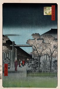 "Edo