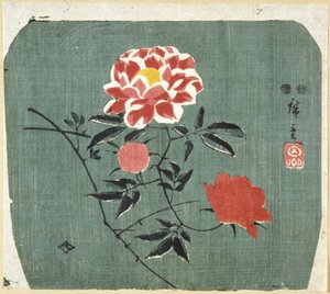 Hayran Baskısı: Gül by Ando or Utagawa Hiroshige