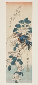 Kingfisher ve Viburnum (renkli tahta baskı) by Ando or Utagawa Hiroshige