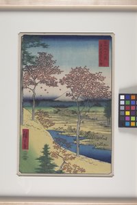 Doğu Başkentinde Meguro'S Twilight Hill (T?to: Meguro Y?higaoka) (renkli tahta baskı) by Ando or Utagawa Hiroshige