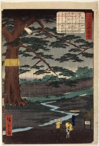Miyuki Pine (renkli tahta baskı) by Ando or Utagawa Hiroshige