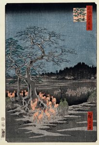 "Edo