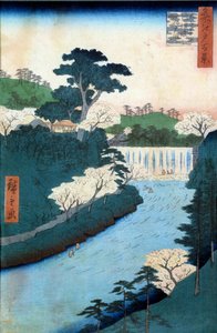 Edo