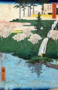 Edo