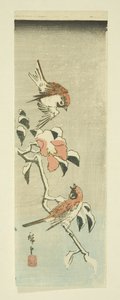 Karda Serçeler ve Kamelya (renkli tahta baskı) by Ando or Utagawa Hiroshige