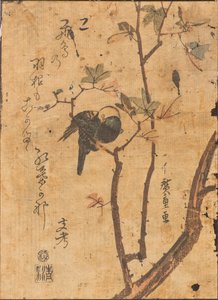 Dalda uyuyan kuş çalışması by Ando or Utagawa Hiroshige