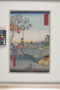 Zōshigaya'da Fuji Dağı Manzaralı Çayevi (Zōshigaya Fujimi Chaya) (renkli tahta baskı) by Ando or Utagawa Hiroshige