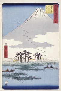 Yoshiwara: Fujinonuma Ukishimagahara (tahta baskı) by Ando or Utagawa Hiroshige