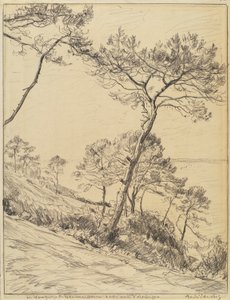 by André Dauchez