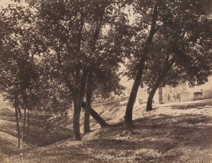 Ağaçlar, ç. 1855.