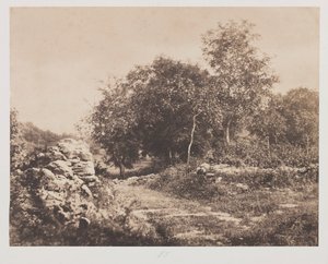 Fontainbleau