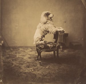 [İmparatoriçe Eugenie