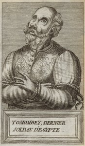 Tuman Körfezi II