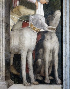 Molossian köpekleri, Toplantı Duvarından detay by Andrea Mantegna