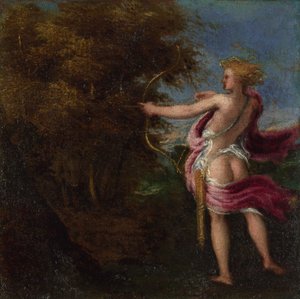 Arcas Avcılık, c. 1550