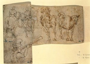 Env no.38 recto Sketch of Horses, c. 1460-70 (kalem ve mürekkep) by Andrea Verrocchio