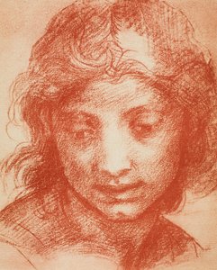 erkek kafa by Andrea del Sarto
