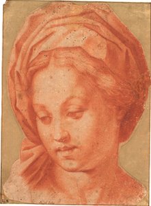 Borghese Madonna by Andrea del Sarto