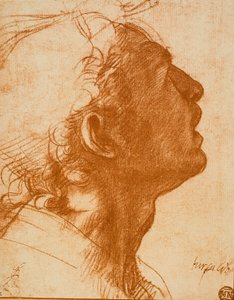 erkek kafa by Andrea del Sarto