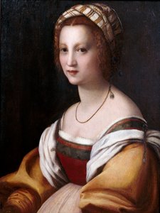 ""Bir kadının portresi"" (Bir kadının portresi) Resim Andrea del Sarto (1486-1531) yaklaşık 1514 Dim 73x56 cm Museo del Prado, Madrid by Andrea del Sarto