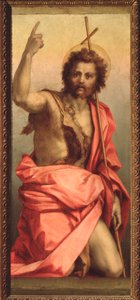 Vaftizci Yahya, Aziz Agnes Sunağı (Resim, 1525-1528) by Andrea del Sarto