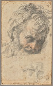  by Andrea del Sarto