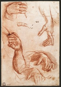 Kömür (kömür) çizimi “ellerin çalışması” by Andrea del Sarto