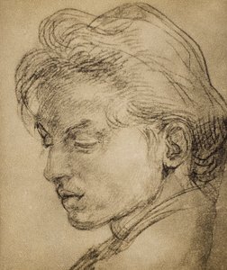 Profildeki erkeksi kafa by Andrea del Sarto