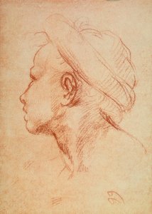 Gençler profilde by Andrea del Sarto