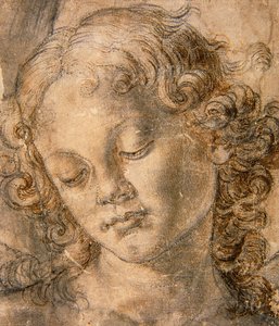 Head of Angel