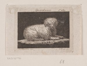 Giordano, yalancı bir köpek