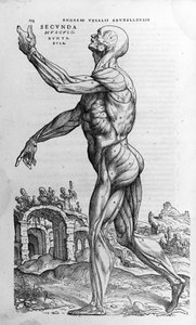 Andrea Vesalio (1514 - 1564), Charles V