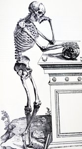 Elinde kafatası olan insan iskeleti. Vesalius'un "De Humani Corporis Fabrica" adlı eserinden. Olası oduncu: Jan von Calcar
