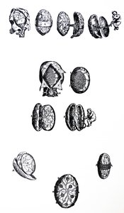 De Humani Corporis Fabrica'nın Beşinci Kitabından Plakalar by Andreas Vesalius
