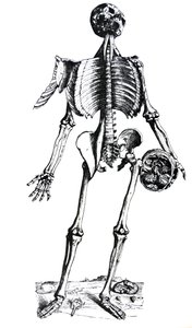 De Humani Corporis Fabrica