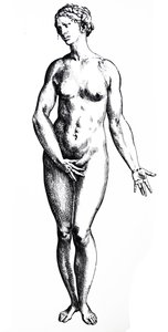 De Humani Corporis Fabrica